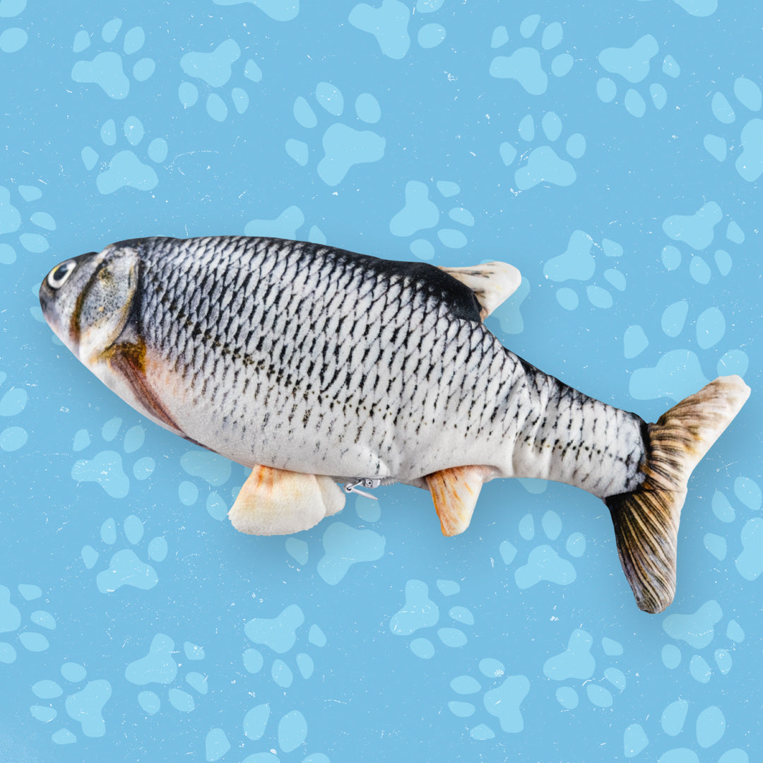 Kattleksak - Rörlig Fisk